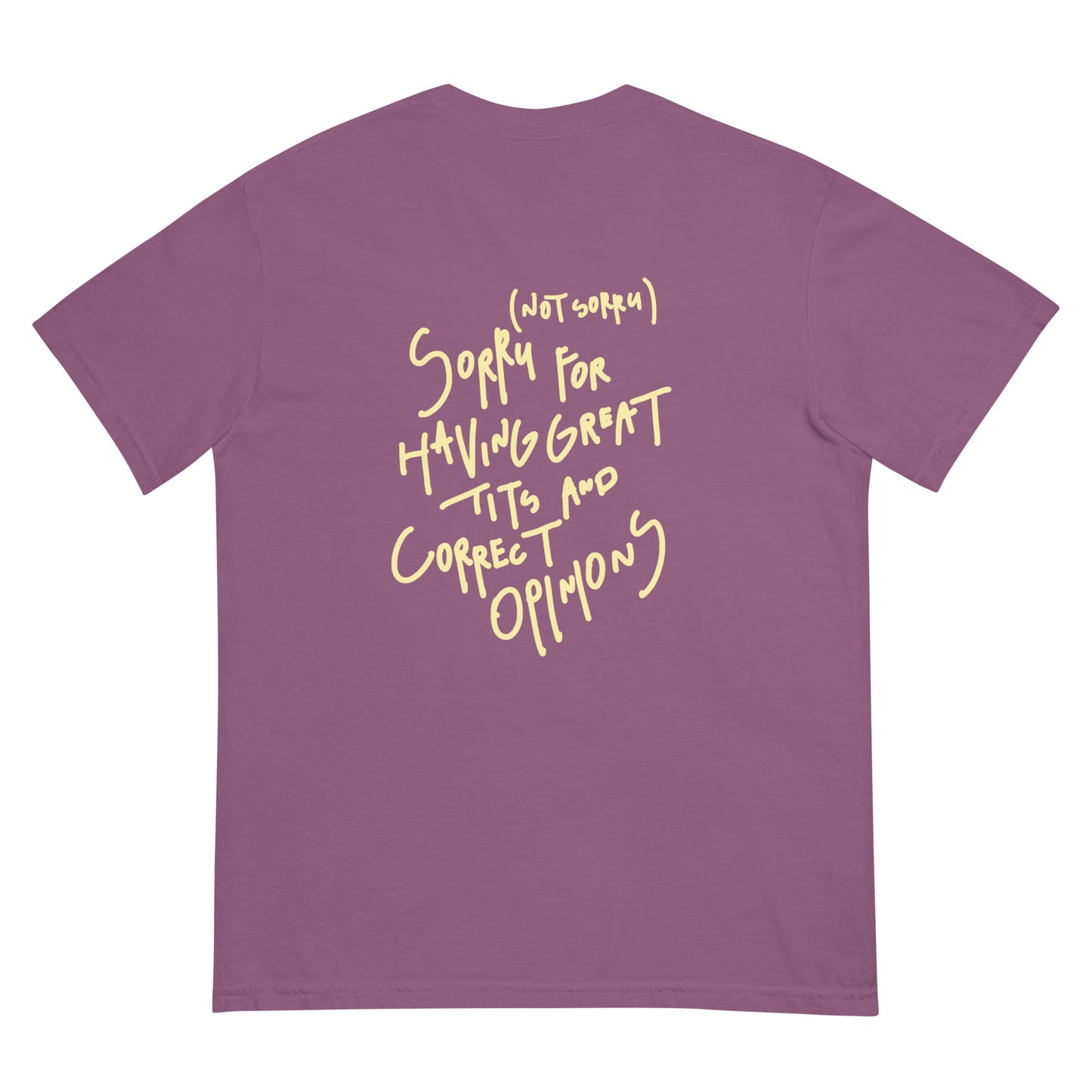 unisex heavyweight relaxfit handwritten tee "great tits and correct opinions"